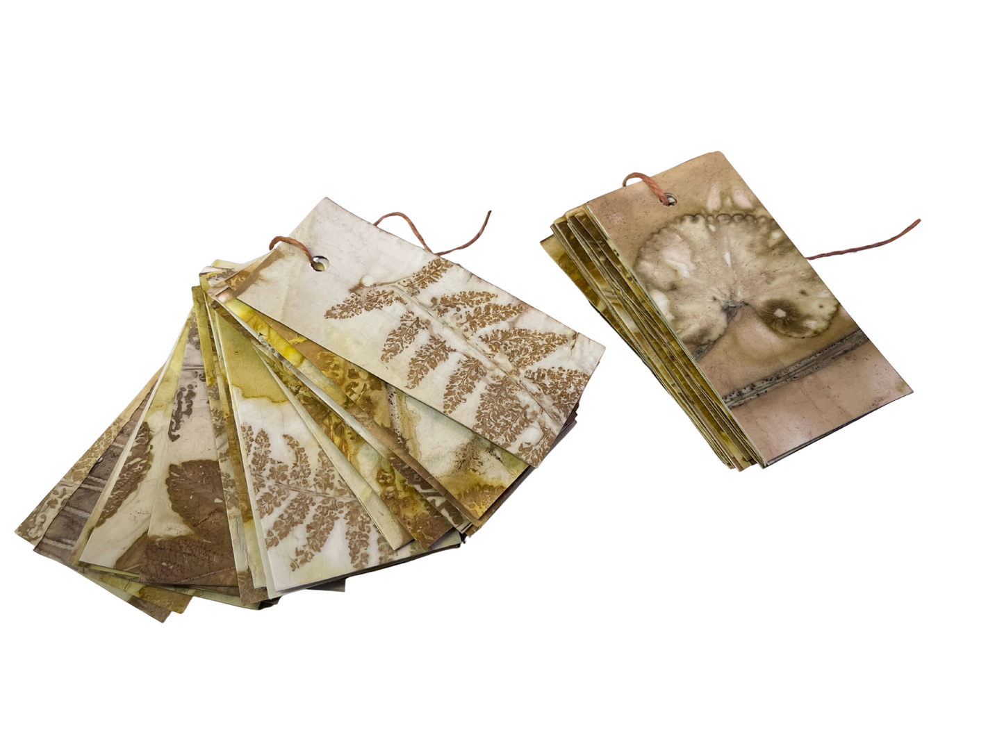 Eco Print Gift Tags